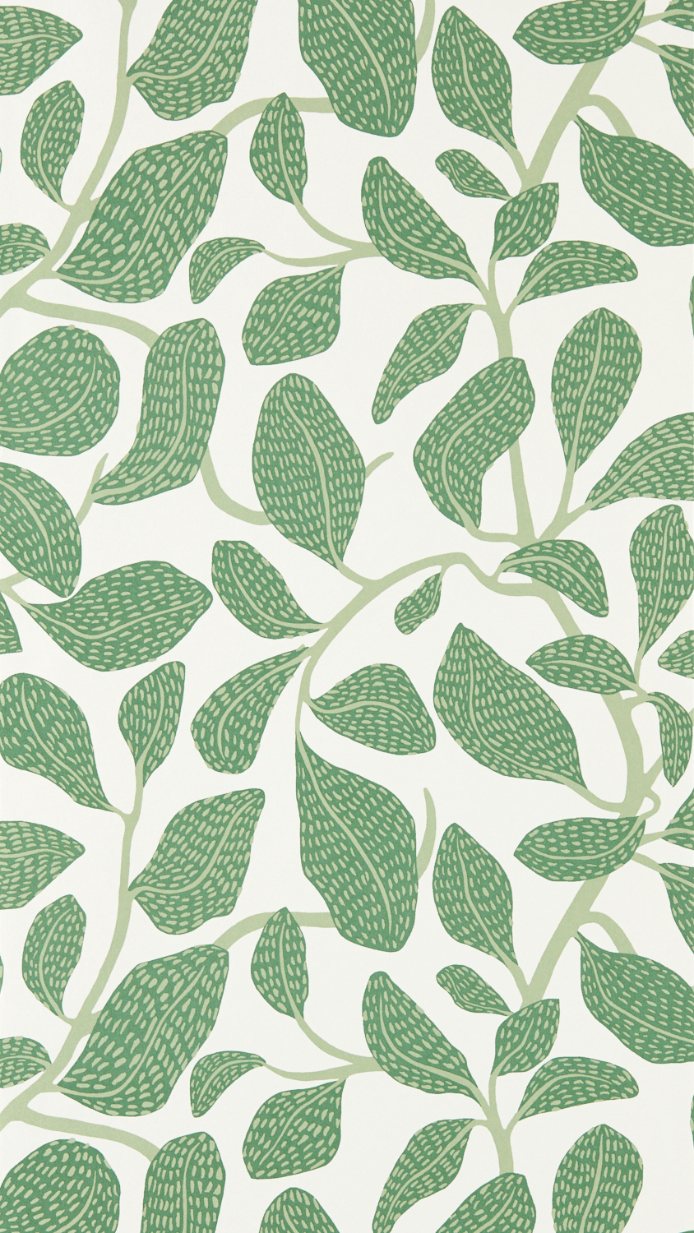 Carta da Parati Scion Sweet Bay