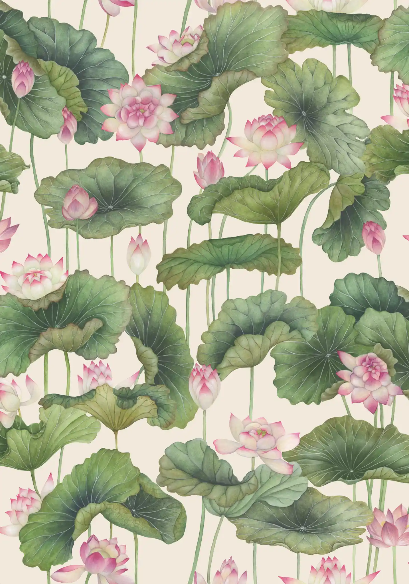 Carta da Parati Cole & Son Lily Lotus