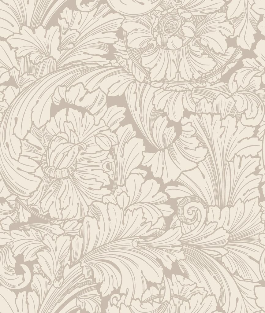 Carta da Parati Cole & Son Acanthus