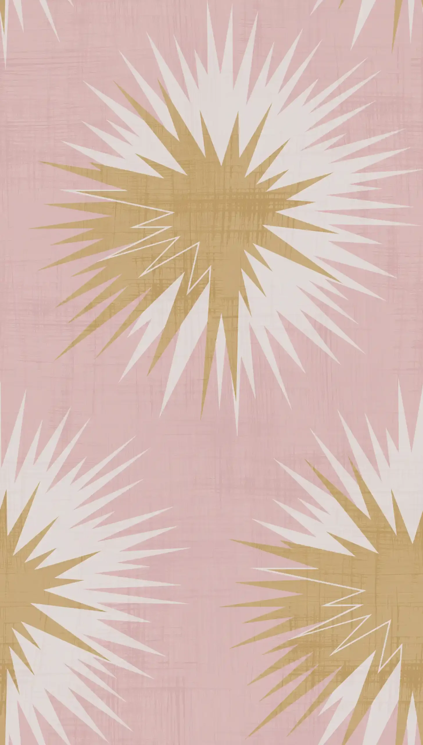 130 7022 scaled | B&B Distribuzione