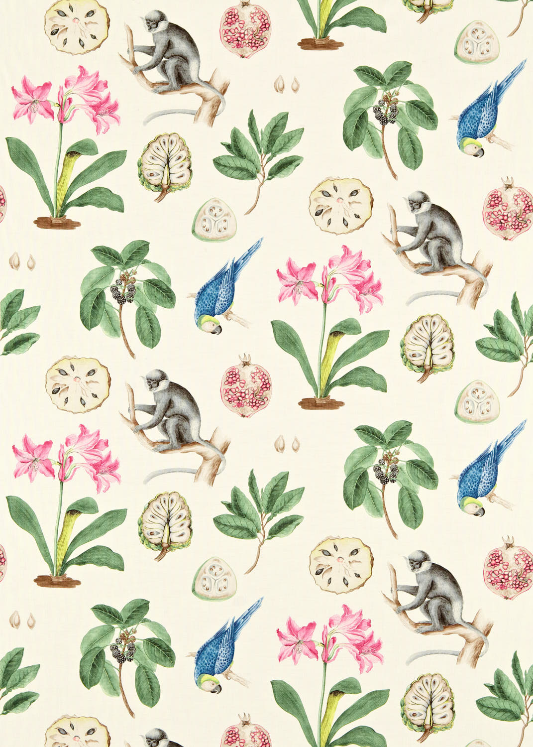 Tessuti Sanderson Capuchins