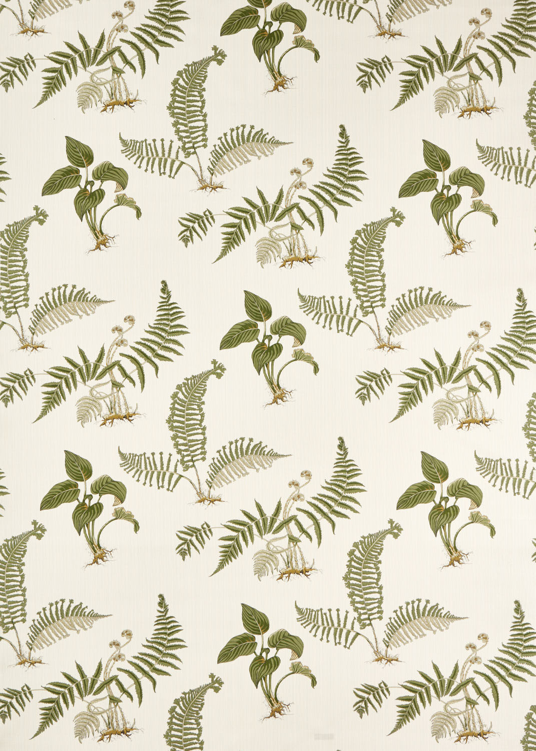 Tessuti Sanderson Hosta & Fern