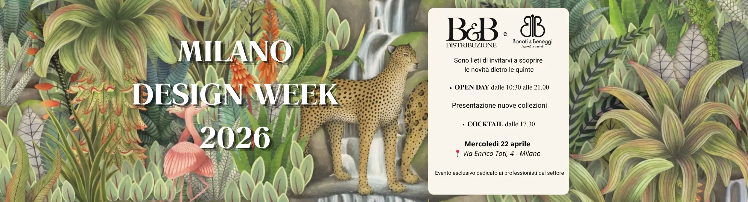BANNER SITO 2500X675 | B&B Distribuzione
