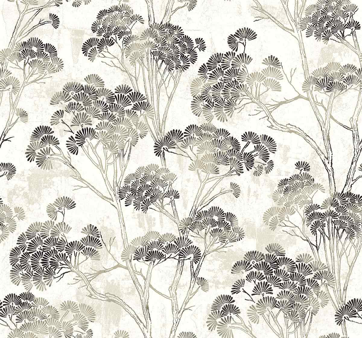 CH31200 | B&B Distribuzione