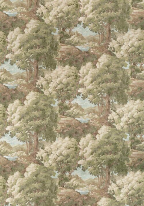 Woodland Clearing