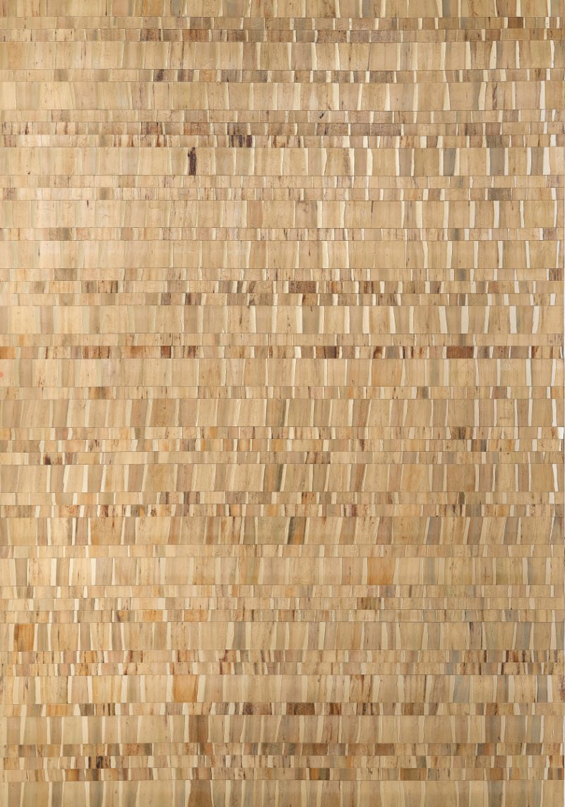 Carta da Parati Thibaut NAMONAKI