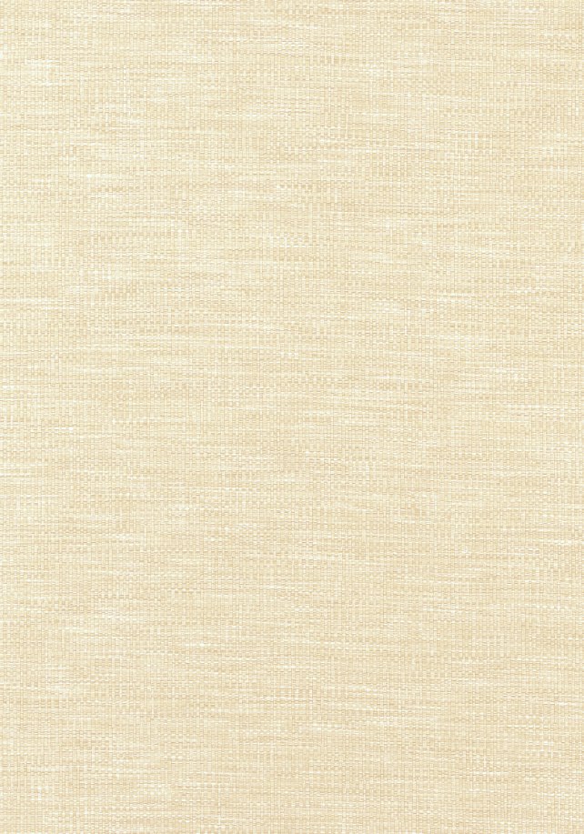 Tessuti Thibaut Kaden